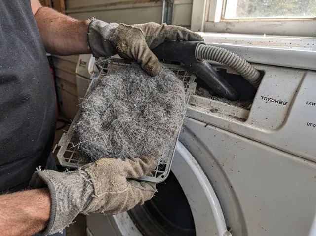 Cleaning Dryer Lint Trap in Fountainebleau